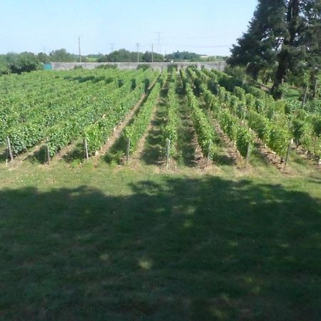 Au Clos De L'Epinayヴーヴレ エクステリア 写真