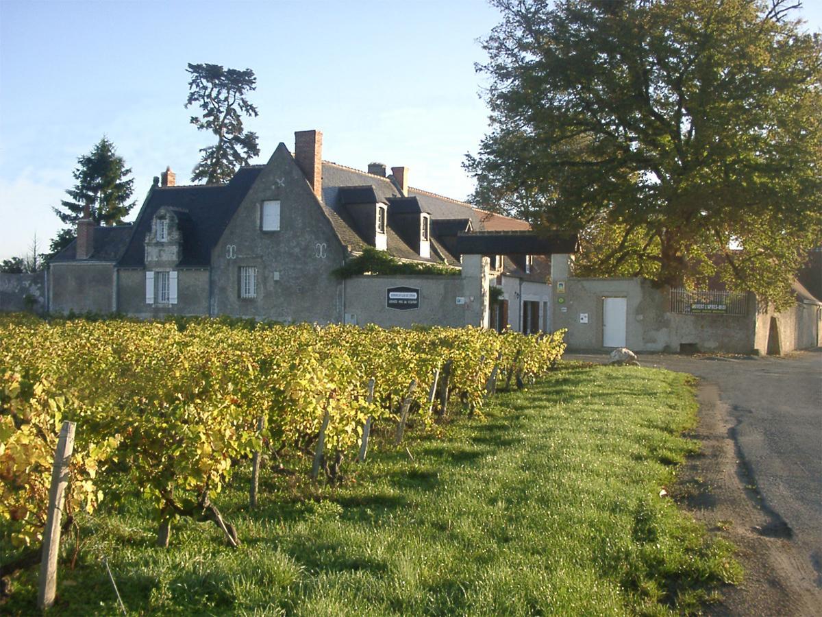 Au Clos De L'Epinayヴーヴレ エクステリア 写真
