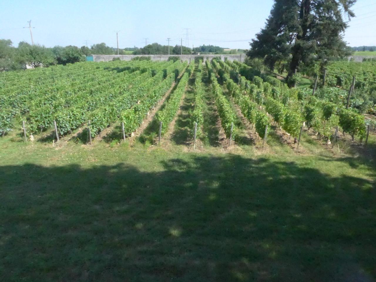 Au Clos De L'Epinayヴーヴレ エクステリア 写真